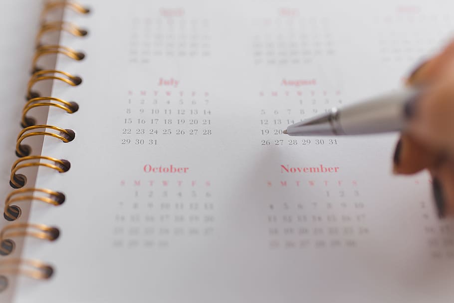 Pink calendar, notebook, diary, desk, indoors, close-up, human body part HD wallpaper