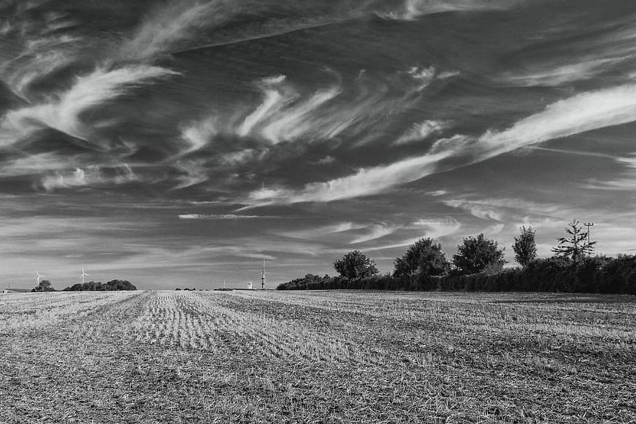 field, clouds, landscape, sky, nature, rural, harvested, black white, HD wallpaper