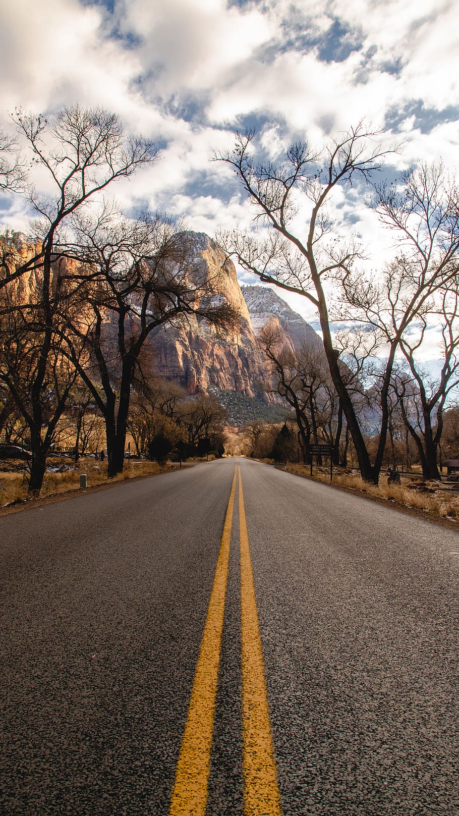 road with bare trees under white sky, direction, the way forward HD wallpaper