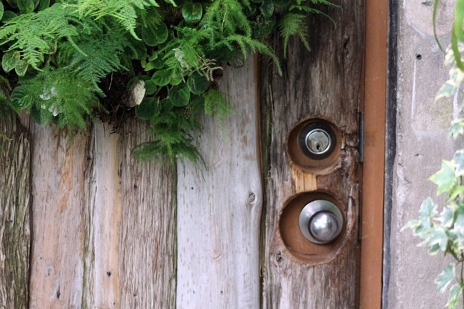canada, toronto, locker, key, secret, nature, door, plants HD wallpaper