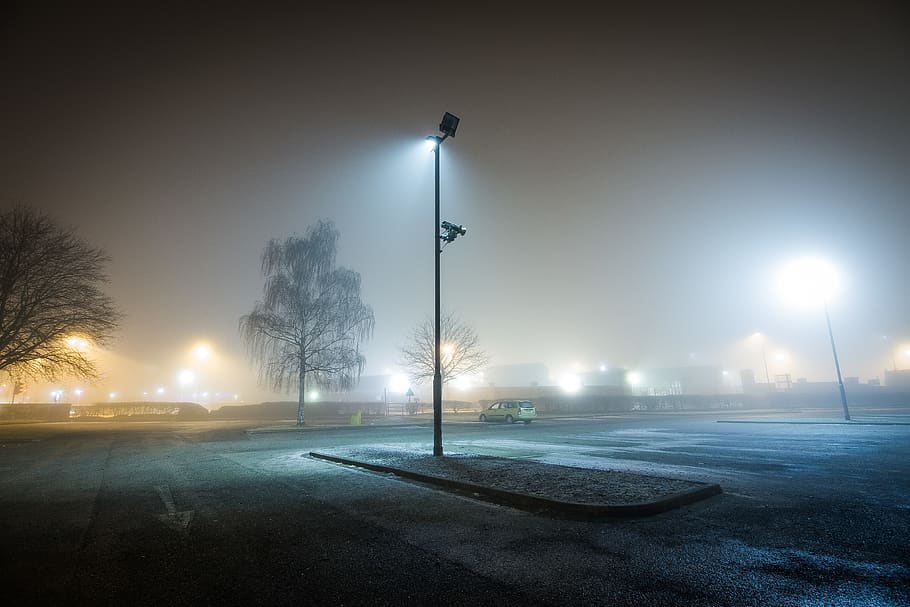 fog, carpark, night, trees, light, lampost, cold, street light, HD wallpaper