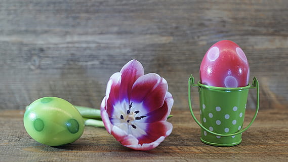 easter, easter eggs, food, color, background, ornament, flower HD wallpaper