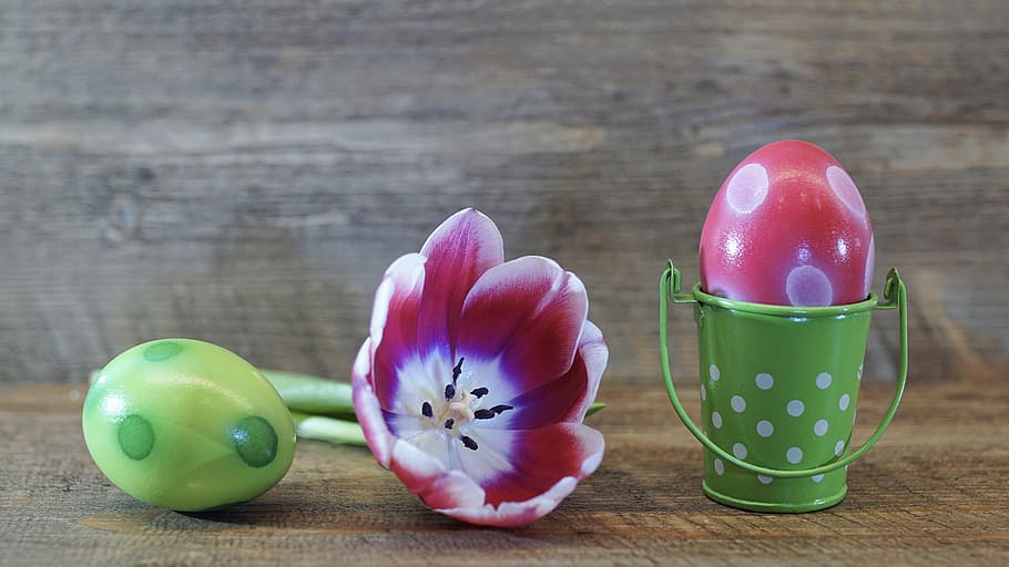 easter, easter eggs, food, color, background, ornament, flower HD wallpaper