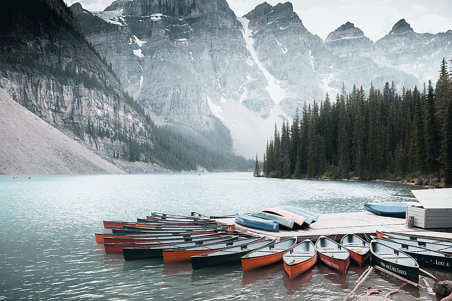 assorted-color boats on body of water, mountain, tree, forest HD wallpaper