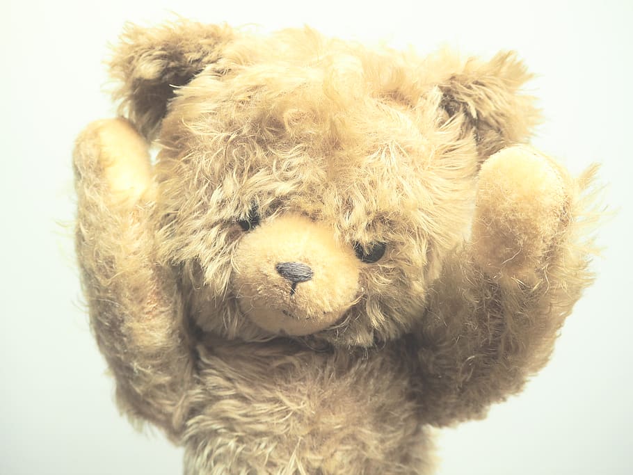 ourse, stuffed toy, studio shot, teddy bear, indoors, close-up HD wallpaper