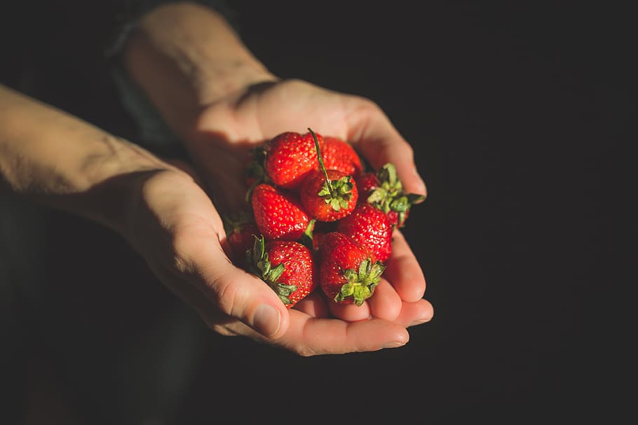 Handful Of Strawberries Photo, Food, Hands, Fruit, human hand HD wallpaper