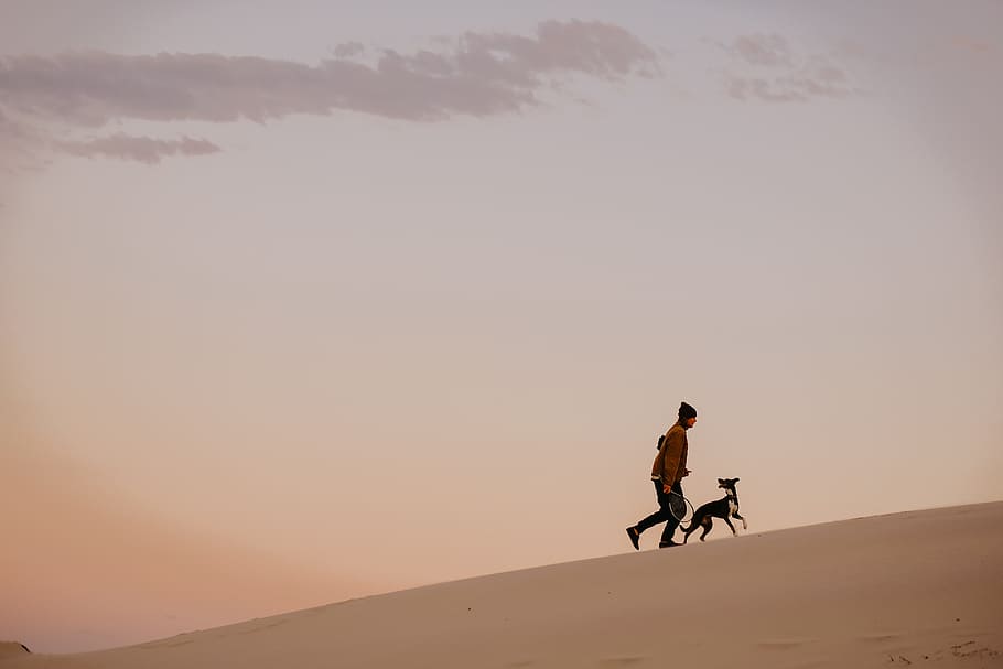 man and dog running on mountain under gray sky during daytime, HD wallpaper