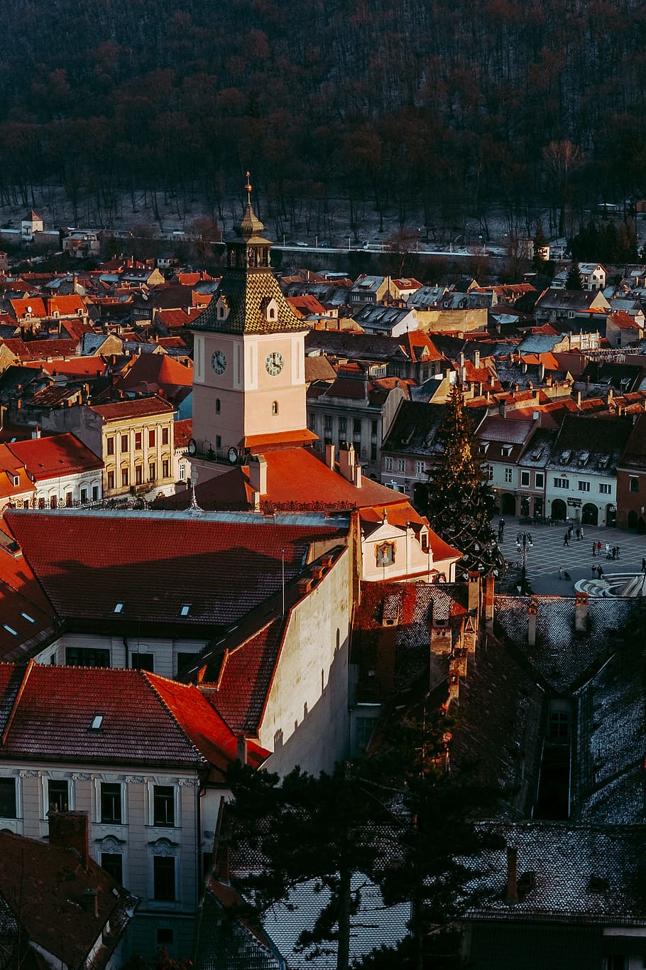 Brasov from above, building, street, winter, cold, sunlight, church, HD wallpaper