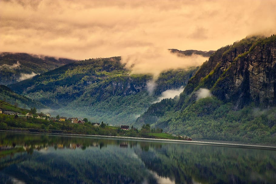 Field of Trees Near Body of Water, clouds, daylight, foggy, grass HD wallpaper