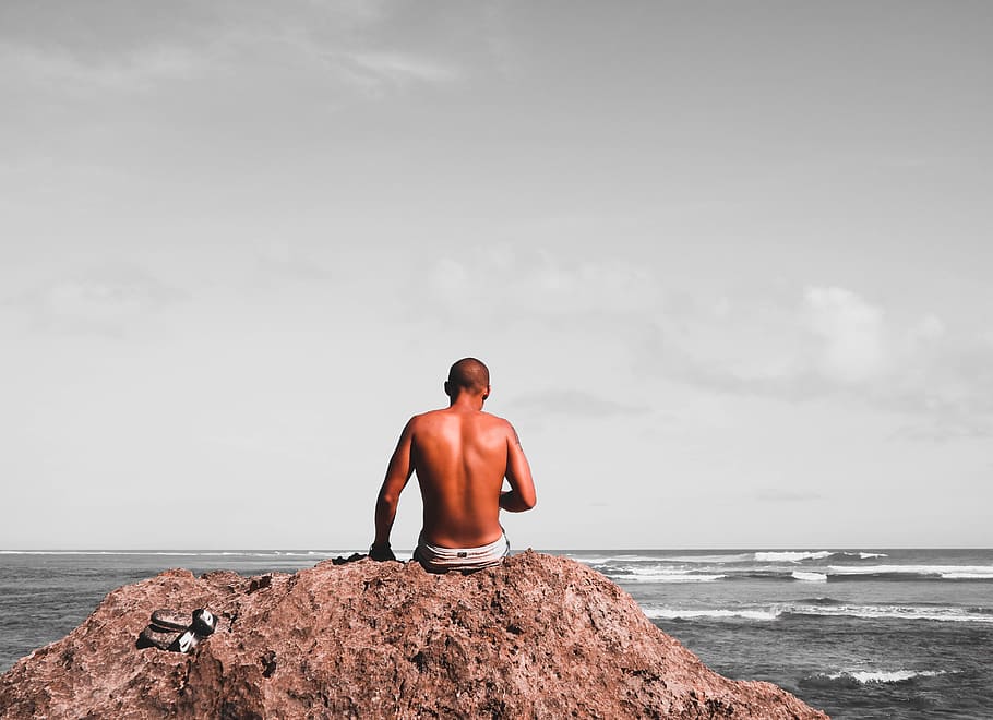 back, person, human, bali, standing, sea, bird, animal, outdoors HD wallpaper