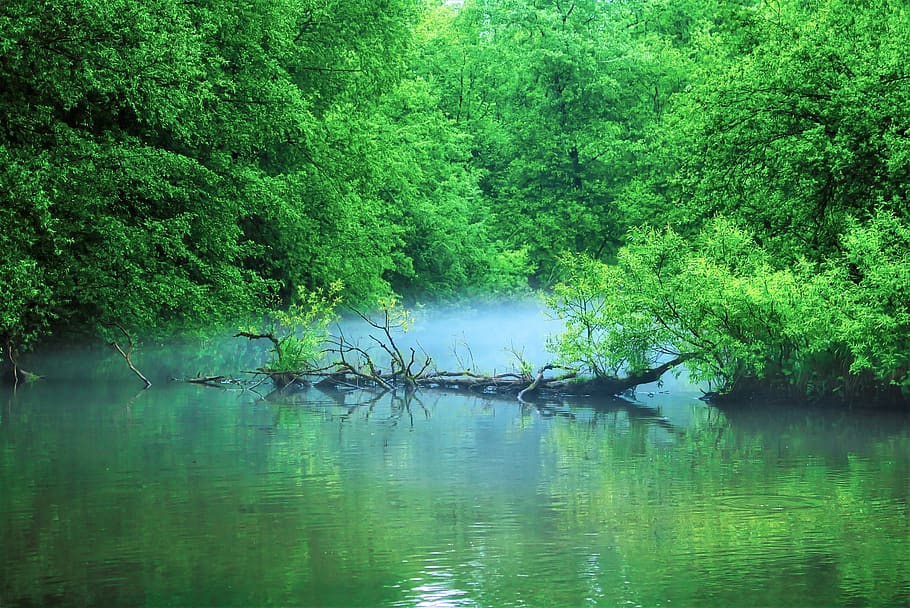 pond, trees, landscape, forest, nature, park, idyllic, mystical HD wallpaper