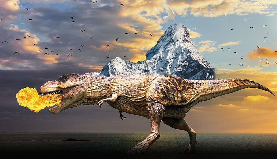 dino, mountain, birds, sky, clouds, rock, wing, wildlife, animal HD wallpaper