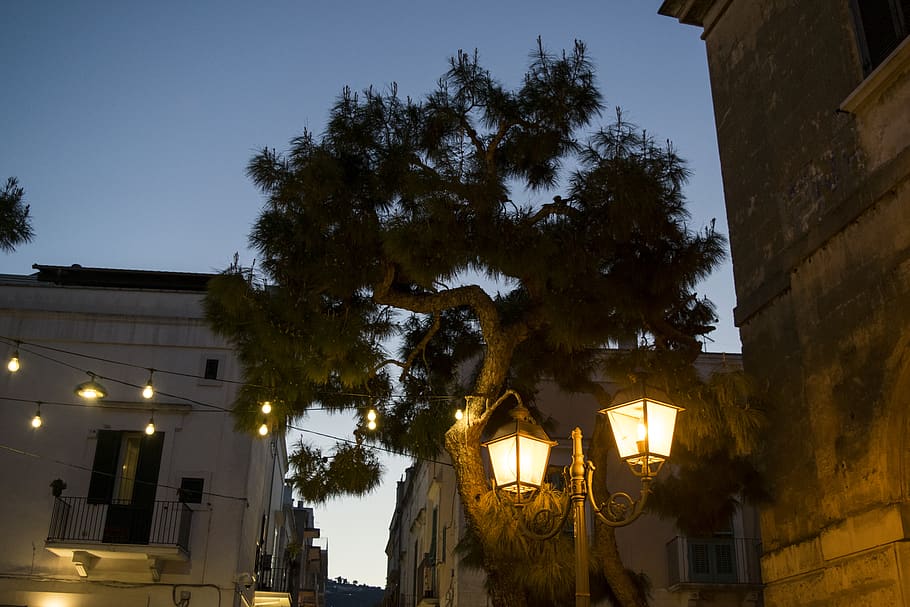 lamp, lamp post, light, walkway, path, town, lights, ancient HD wallpaper