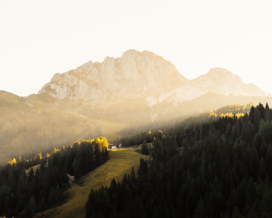 nature, trees, autumn, fall, hiking, mountains, sunrise, sunrays HD wallpaper