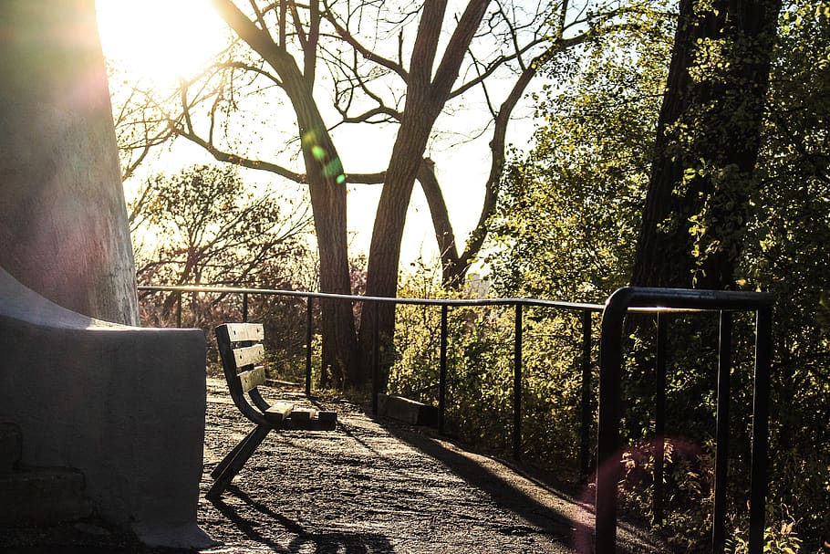Black and Grey Vacant Bench Surrounded by Trees during Daytime HD wallpaper