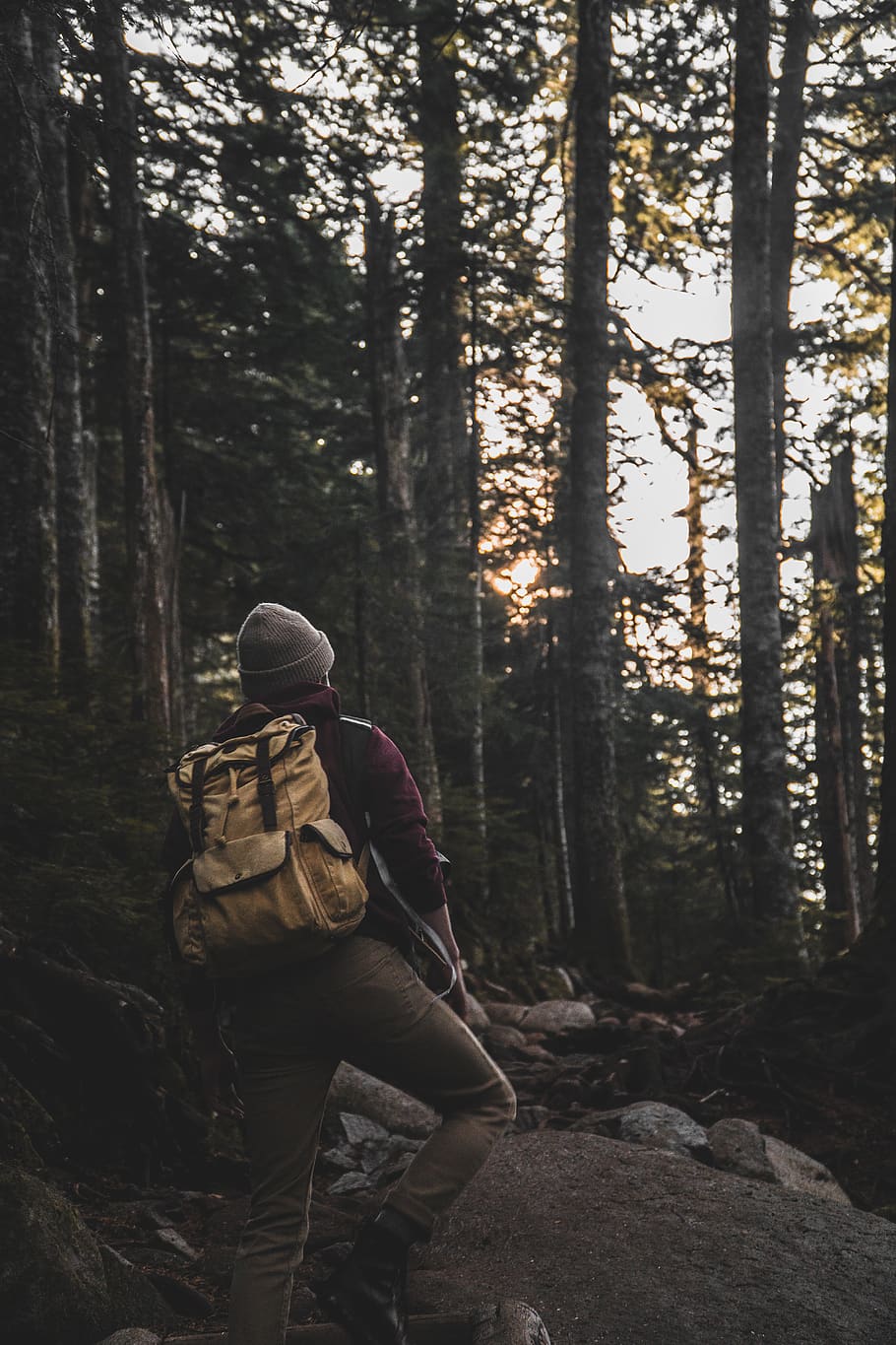 person hiking at the forest, human, outdoors, vegetation, woodland