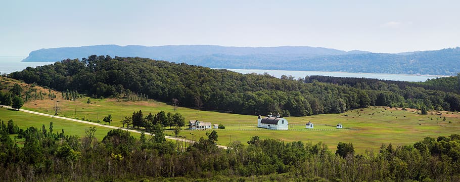 trees, landscape, lake, barn, forest, grass, hills, vista, plant HD wallpaper