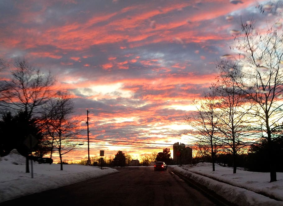 tree, plant, sunset, cloud - sky, snow, winter, transportation HD wallpaper