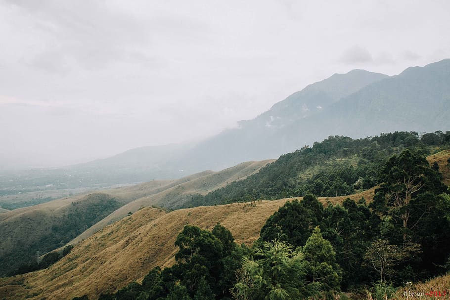 indonesia, papua, mountain, tree, scenics - nature, beauty in nature HD wallpaper