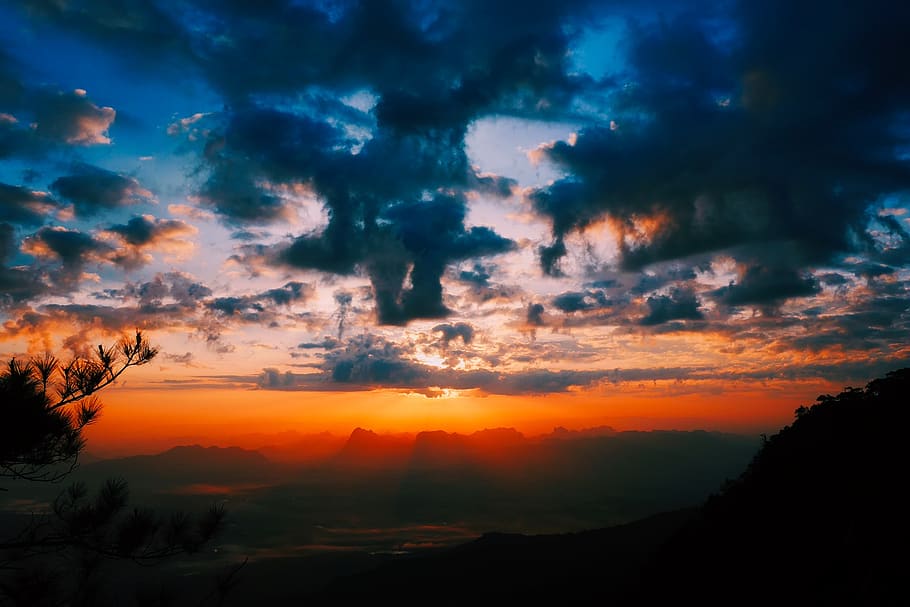 Silhouette of Trees, backlit, clouds, dawn, daylight, evening HD wallpaper