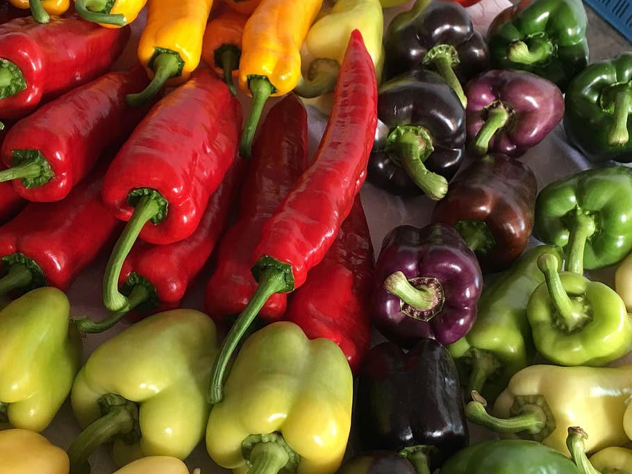 paprika, vitamins, vegetable, pepper, food and drink, freshness HD wallpaper