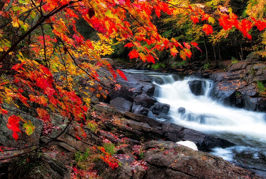 Photo of Waterfalls During Fall Season, cascade, environment HD wallpaper