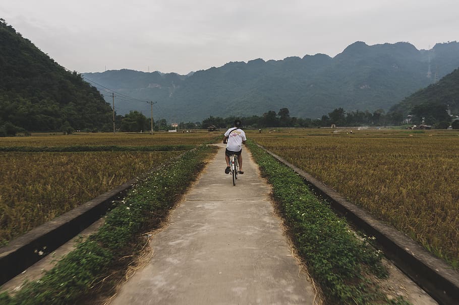vietnam, mai châu district, travel, bike, ricefields, mountains, HD wallpaper