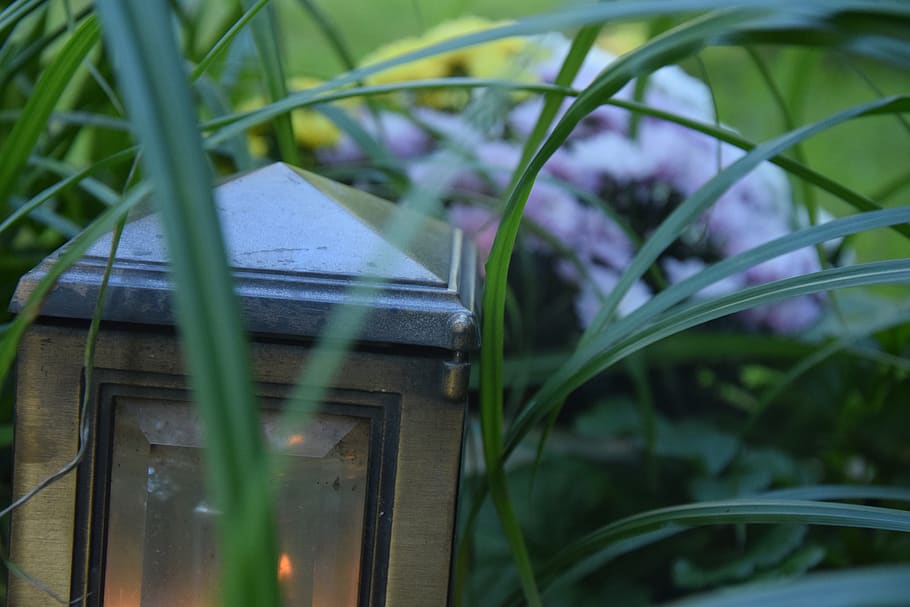 germany, düsseldorf, wersten, grass, lamp, flower, plant, green color HD wallpaper