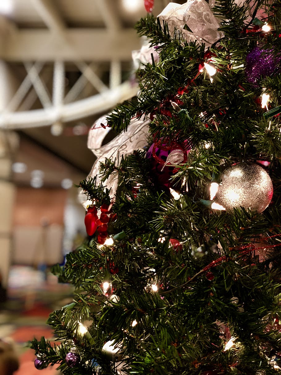 tree, ornaments, christmas, holiday, christmas tree, decoration HD wallpaper