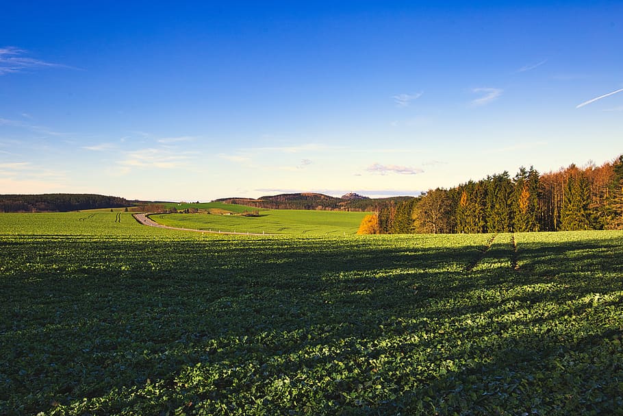 landscape, fields, forest, lit castle, nature, sky, agriculture HD wallpaper