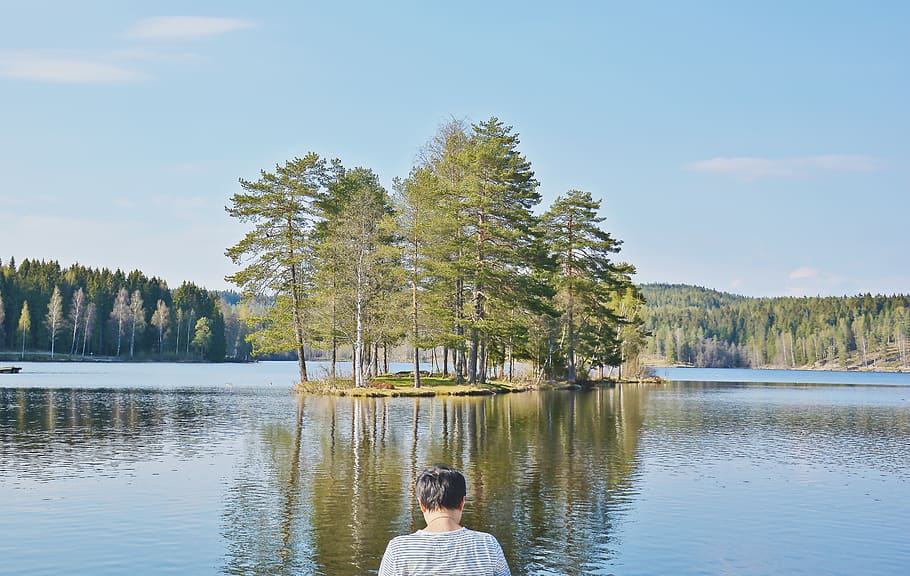 norway, oslo, trees, lake, forest, plant, water, one person HD wallpaper