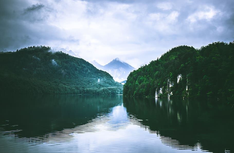 germany, schwangau, clouds, fog, trees, water, reflection, mountain HD wallpaper