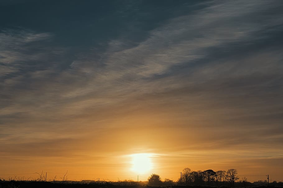 sunrise, clouds, sky, trees, landscape, gradient, grass, air HD wallpaper