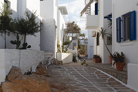 white painted building, flora, vase, pottery, potted plant, jar HD wallpaper