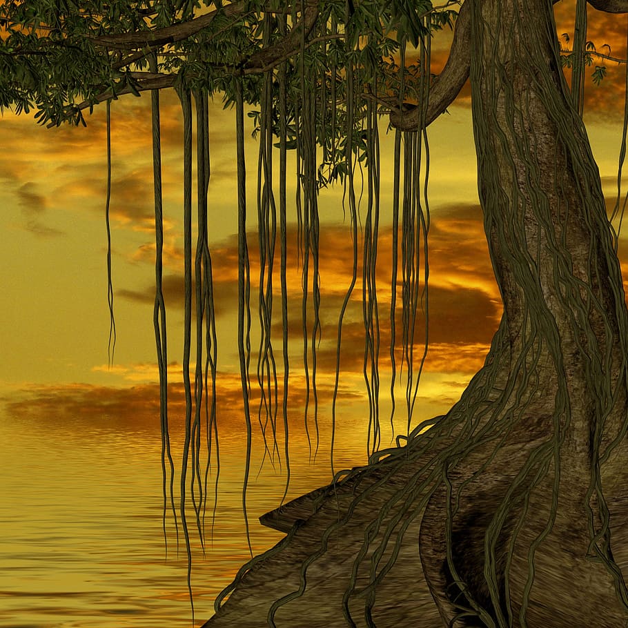 3drender, tree, wood, water, sky, nature, lake, landscape, atmosphere HD wallpaper