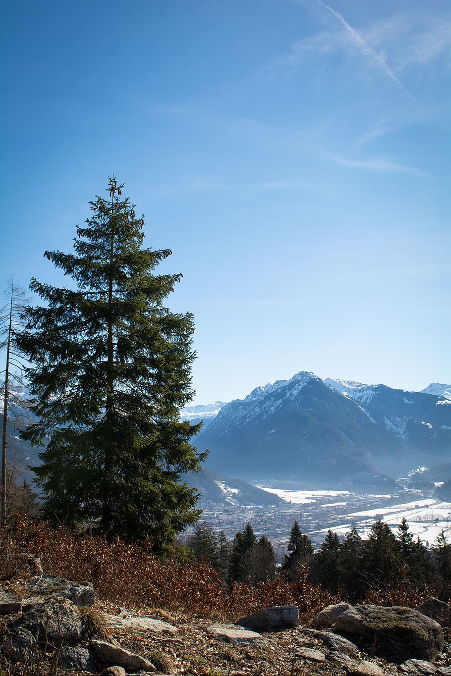 landscape, outlook, view, tree, sky, nature, mountains, mountain peaks HD wallpaper