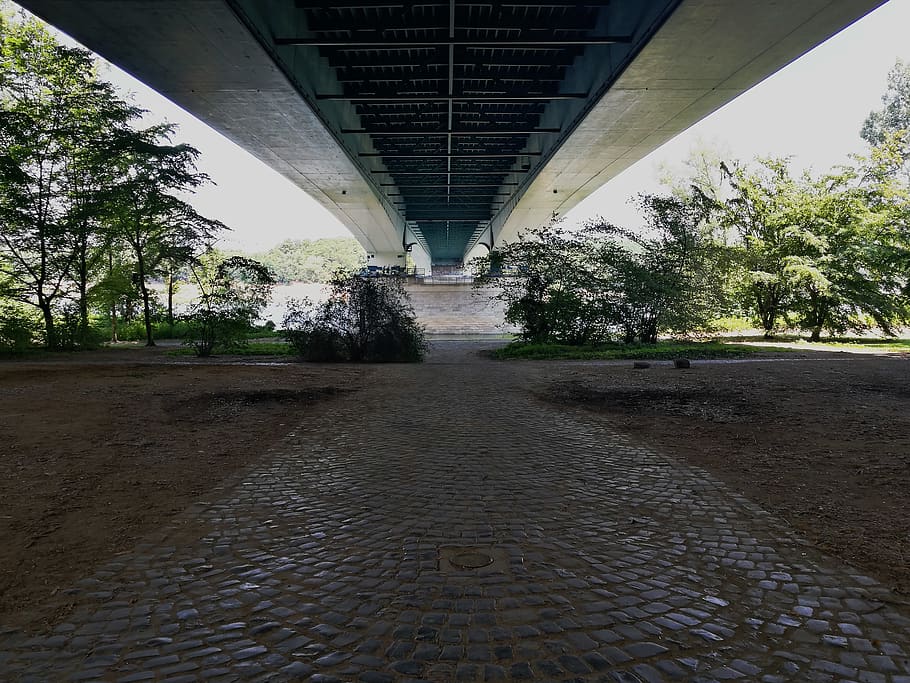 river, bridge, tree, structure, concrete, water, sun, metal, HD wallpaper