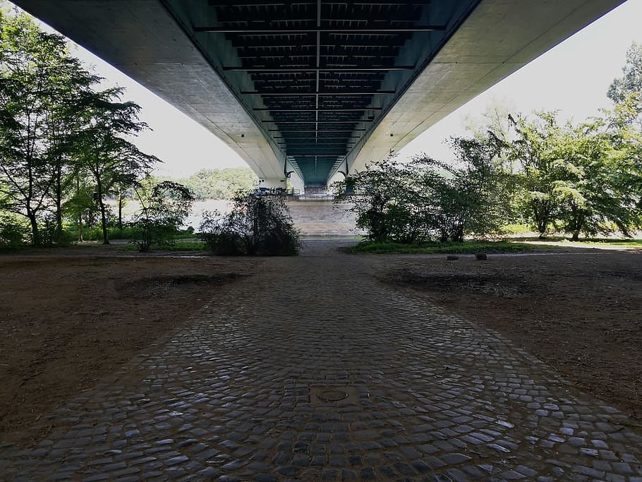 river, bridge, tree, structure, concrete, water, sun, metal HD wallpaper
