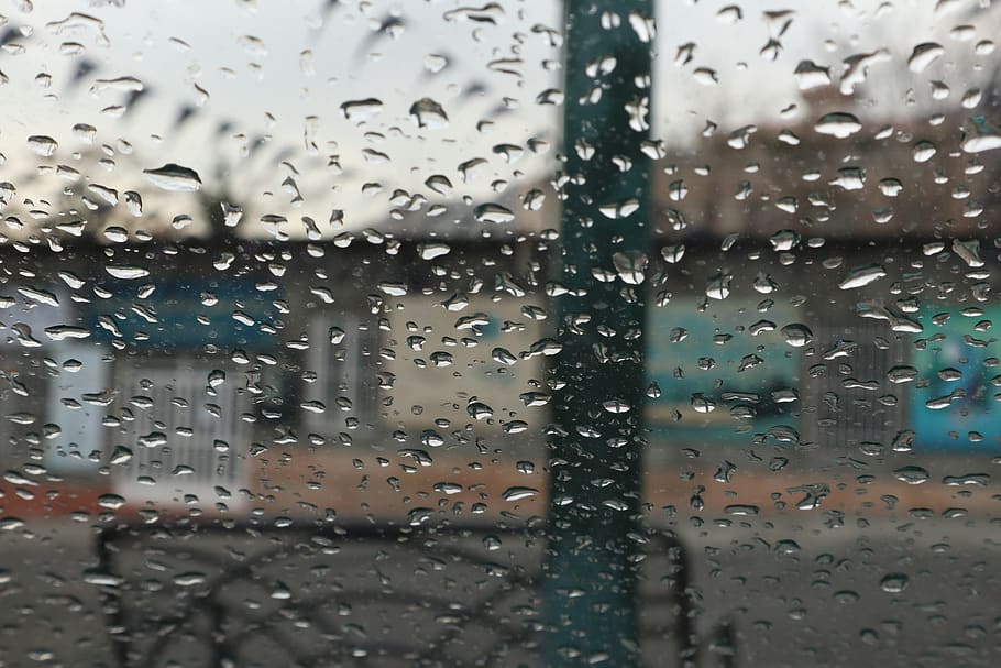 rain, glass, tree, bench, drop, wet, glass - material, water HD wallpaper