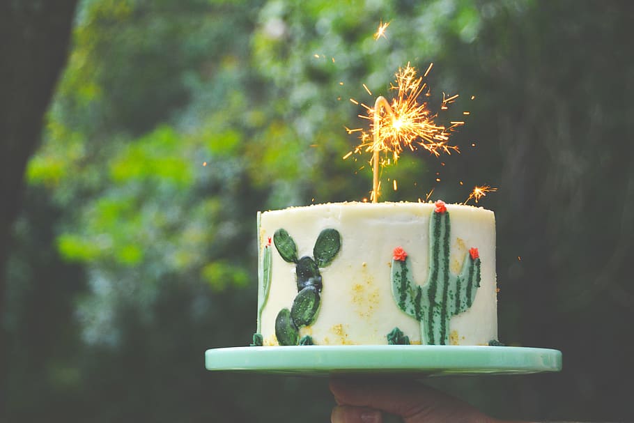 selective focus photograph of white and green cake with sparkler candle HD wallpaper