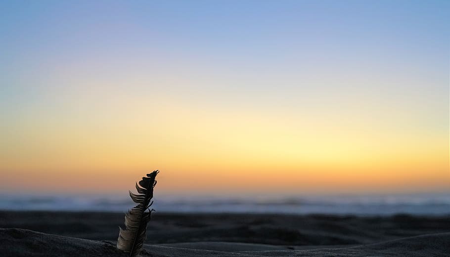 sunset, sand, prospective, feather, sky, beauty in nature, orange color HD wallpaper