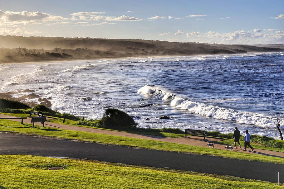 dalmeny, australia, beach, mist, south coast, ocean, sunset HD wallpaper