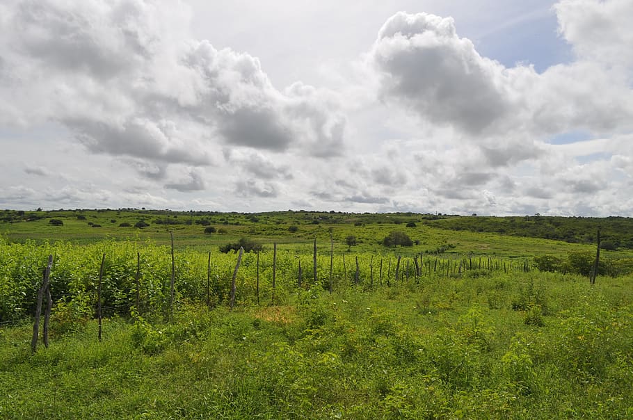 sky, cloud, landscape, clouds, day, future, natural, cute, air HD wallpaper