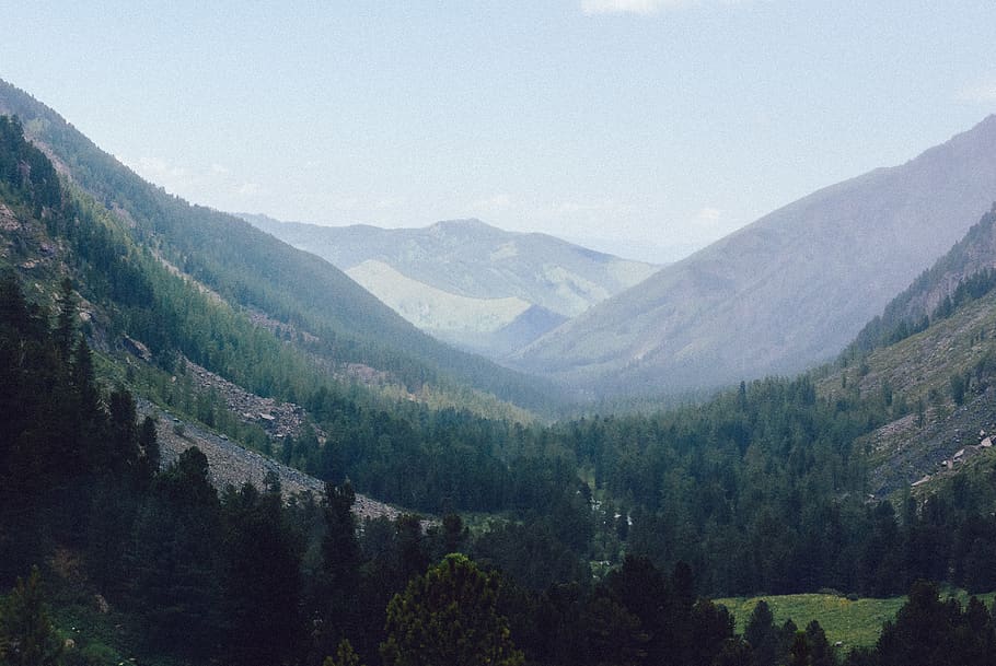 russia, altai krai, mountains, sky, green, rocks, trees, morning HD wallpaper