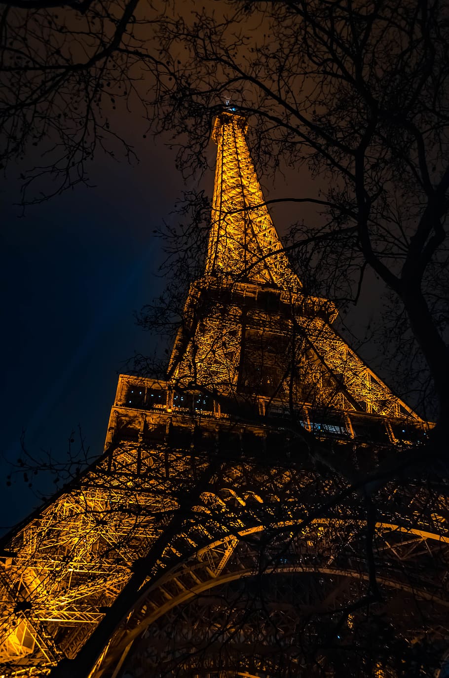 lighted Eiffel tower, architecture, built structure, sky, tree HD wallpaper
