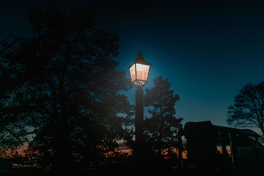 pole, lamp, outside, trees, plant, night, light, sky, lighting equipment HD wallpaper