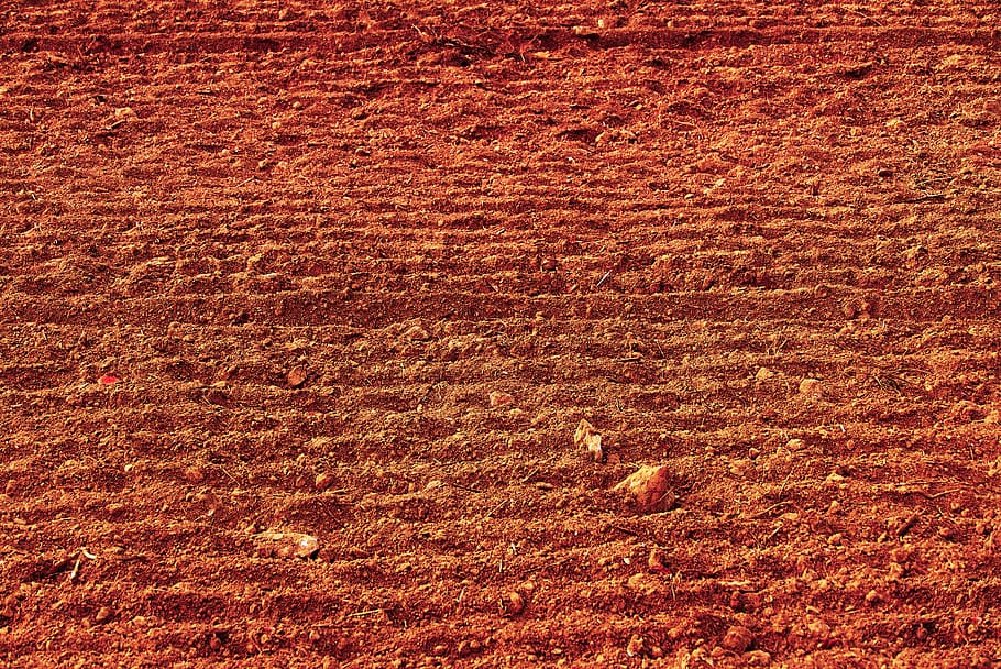 field, arable, agriculture, field order, dry, lines, earth, HD wallpaper