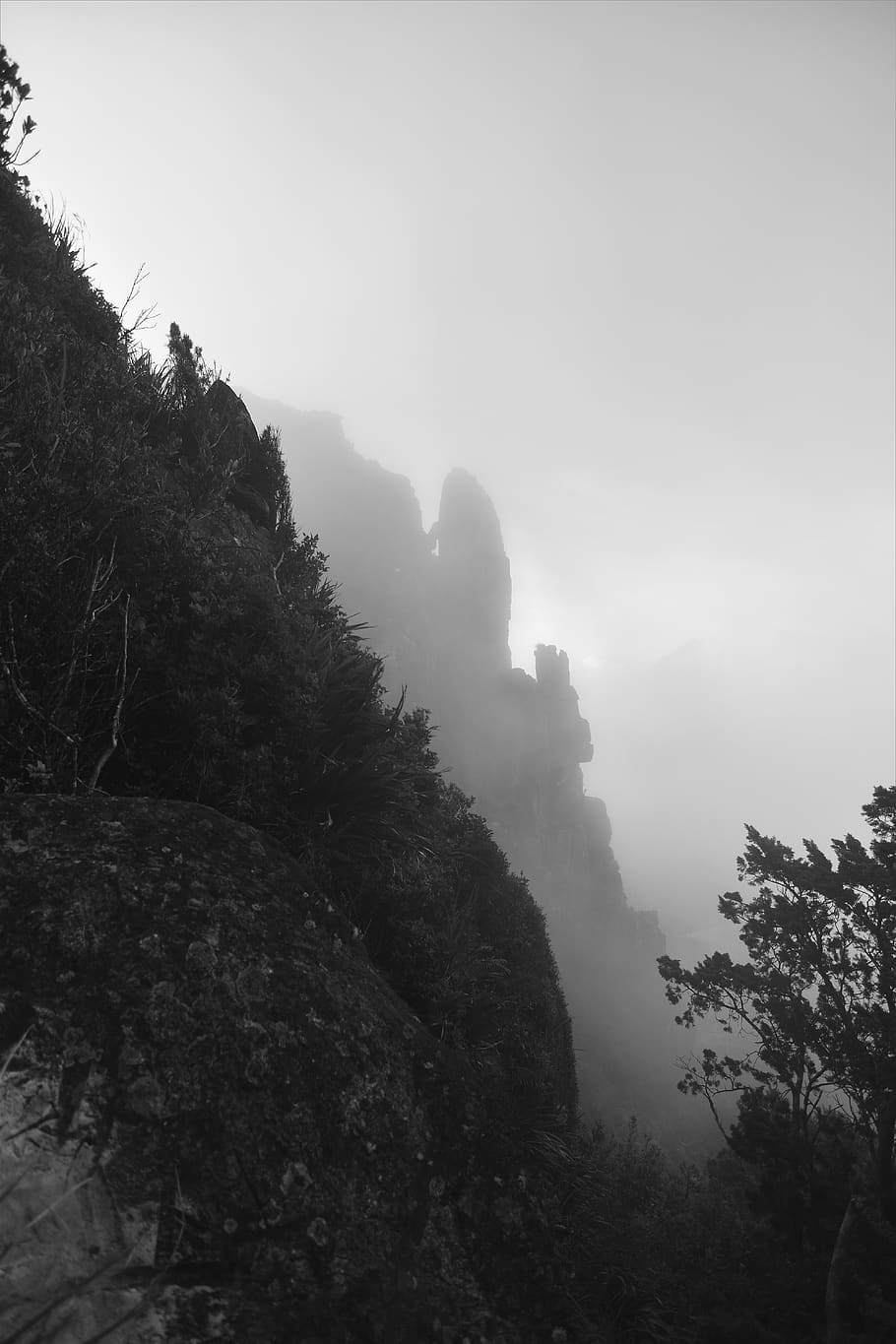 new zealand, whitianga, the pinnacles, misty, coromandel, mountains