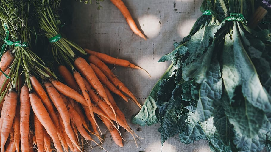 orange carrots, cabbage, vegetable, market, flat lay, harvest HD wallpaper