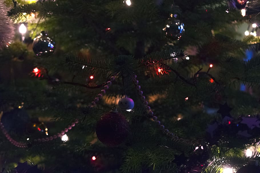 tree, christmas, christmastree, christmas tree, celebration HD wallpaper